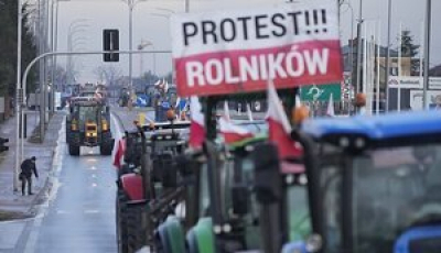 Наслідки блокади кордону: Експорт української агропродукції через Польщу впав утричі