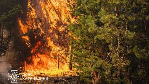 На Харьковщине тушат масштабные лесные пожары: Что известно