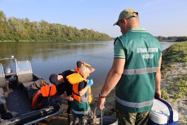 Ущерб свыше 6 миллионов: Госэкоинспекция раскрыла крупнейшие нарушения экологических норм.