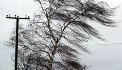Вітер та дощ завдали суттєвих пошкоджень електромережам, Польща надала аварійну допомогу